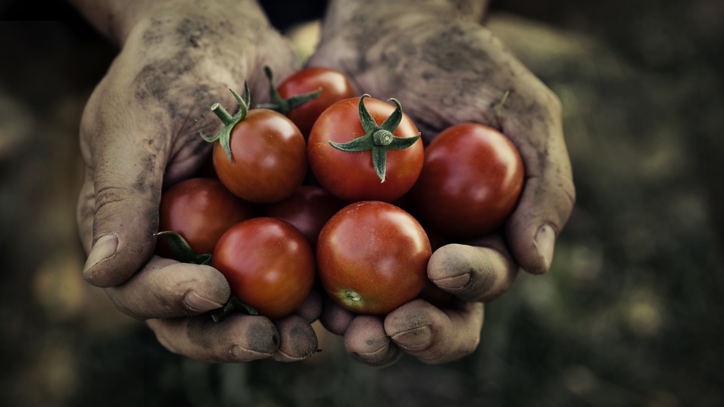 antioxidant supplements OutsideOnline fitness