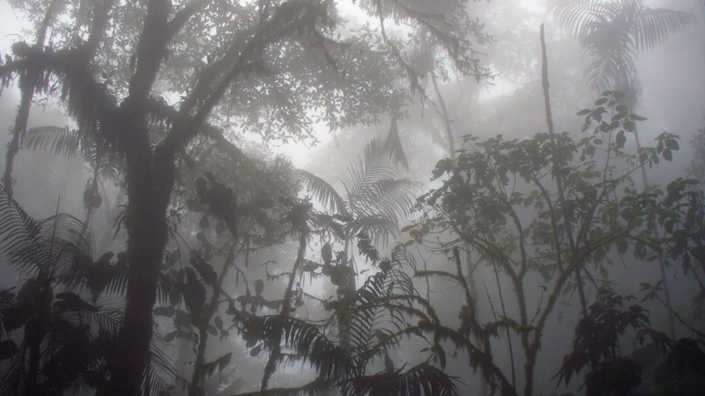 Ann Bender is serving 22 years in prison after being accused of killing her husband in their isolated Costa Rican mansion.