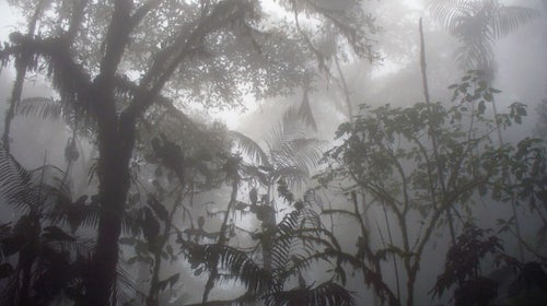 Ann Bender is serving 22 years in prison after being accused of killing her husband in their isolated Costa Rican mansion.