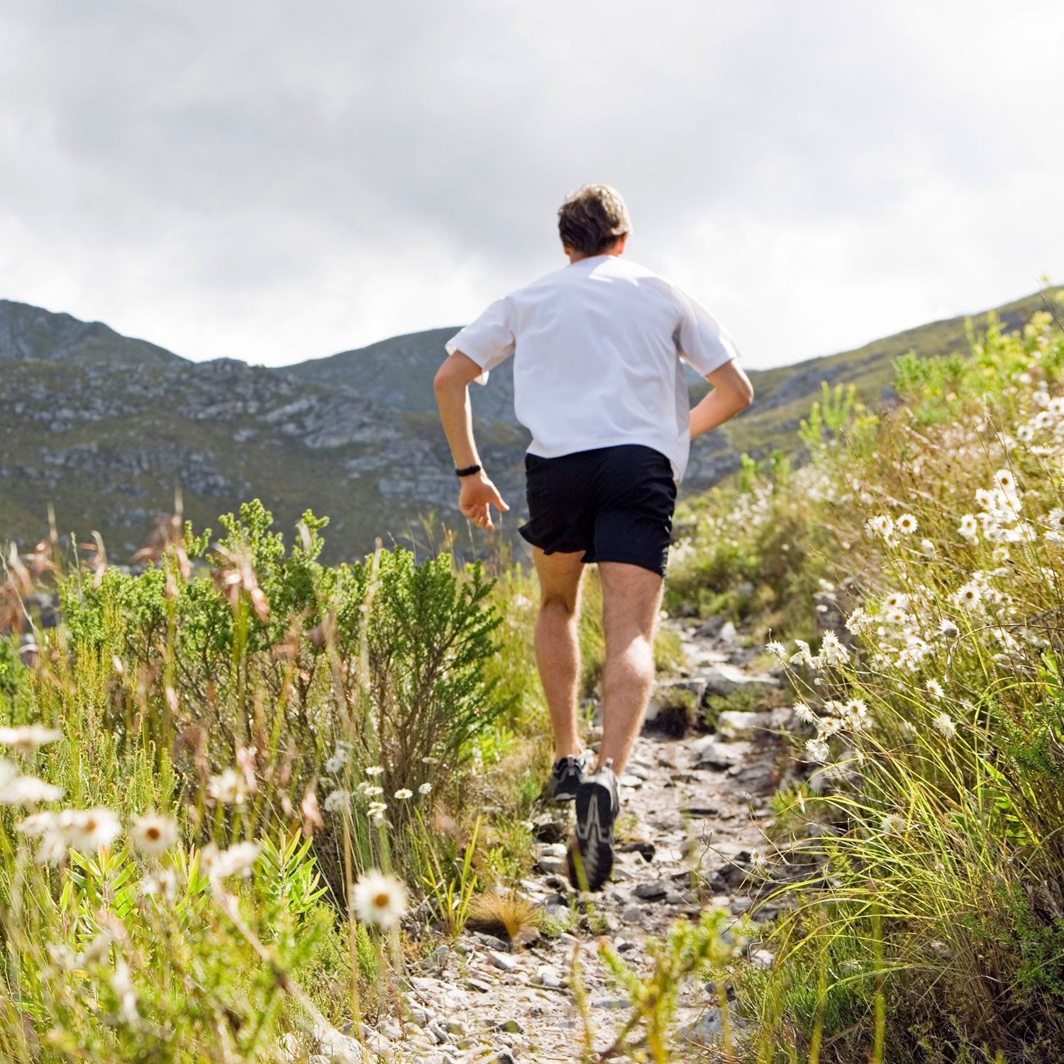 Running Nutrition Running tips ԹϺOnline