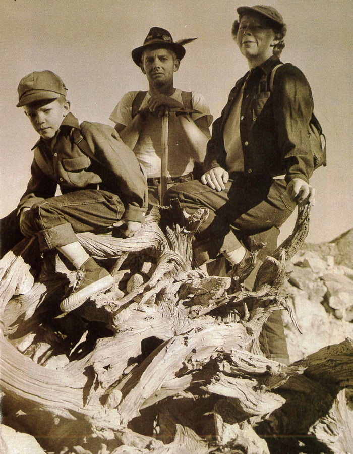 David Brower environment wilderness act