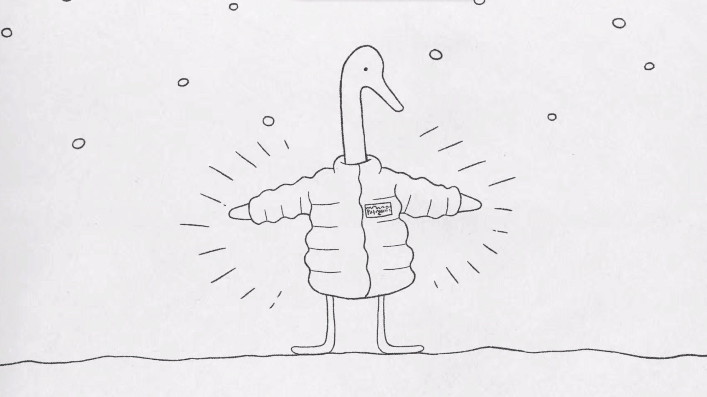 patagonia, the north face, responsible down, clothing, animal rights