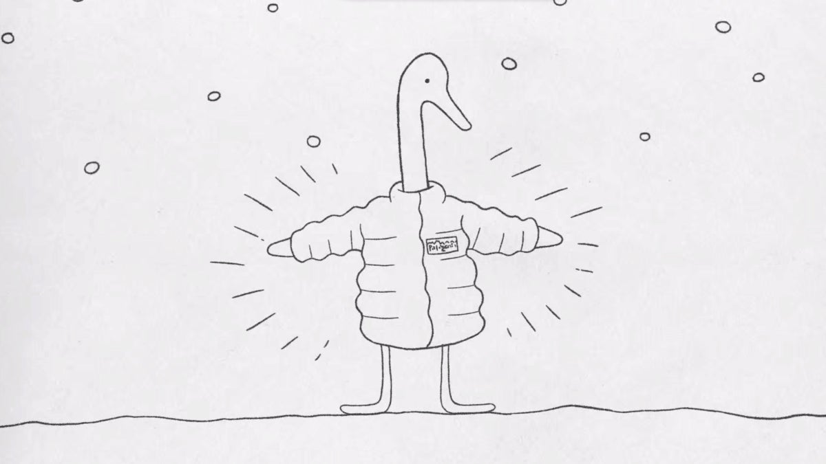 Where Does Your Down Come From?