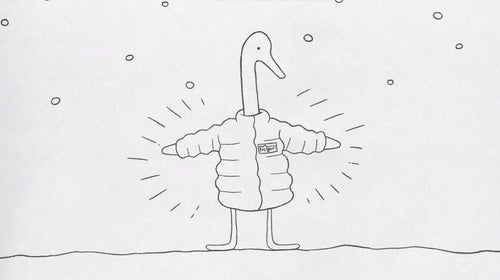 patagonia, the north face, responsible down, clothing, animal rights