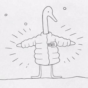 patagonia, the north face, responsible down, clothing, animal rights