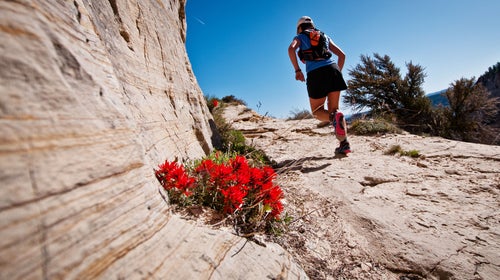Running Utah trail running health