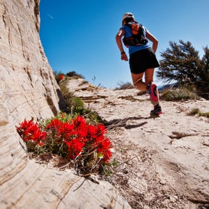 Running Utah trail running health
