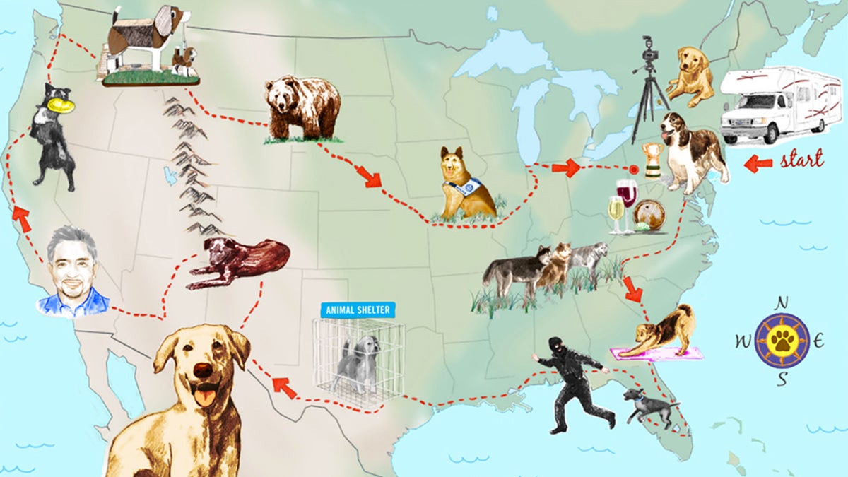 An Odyssey Into America's Dog Obsession