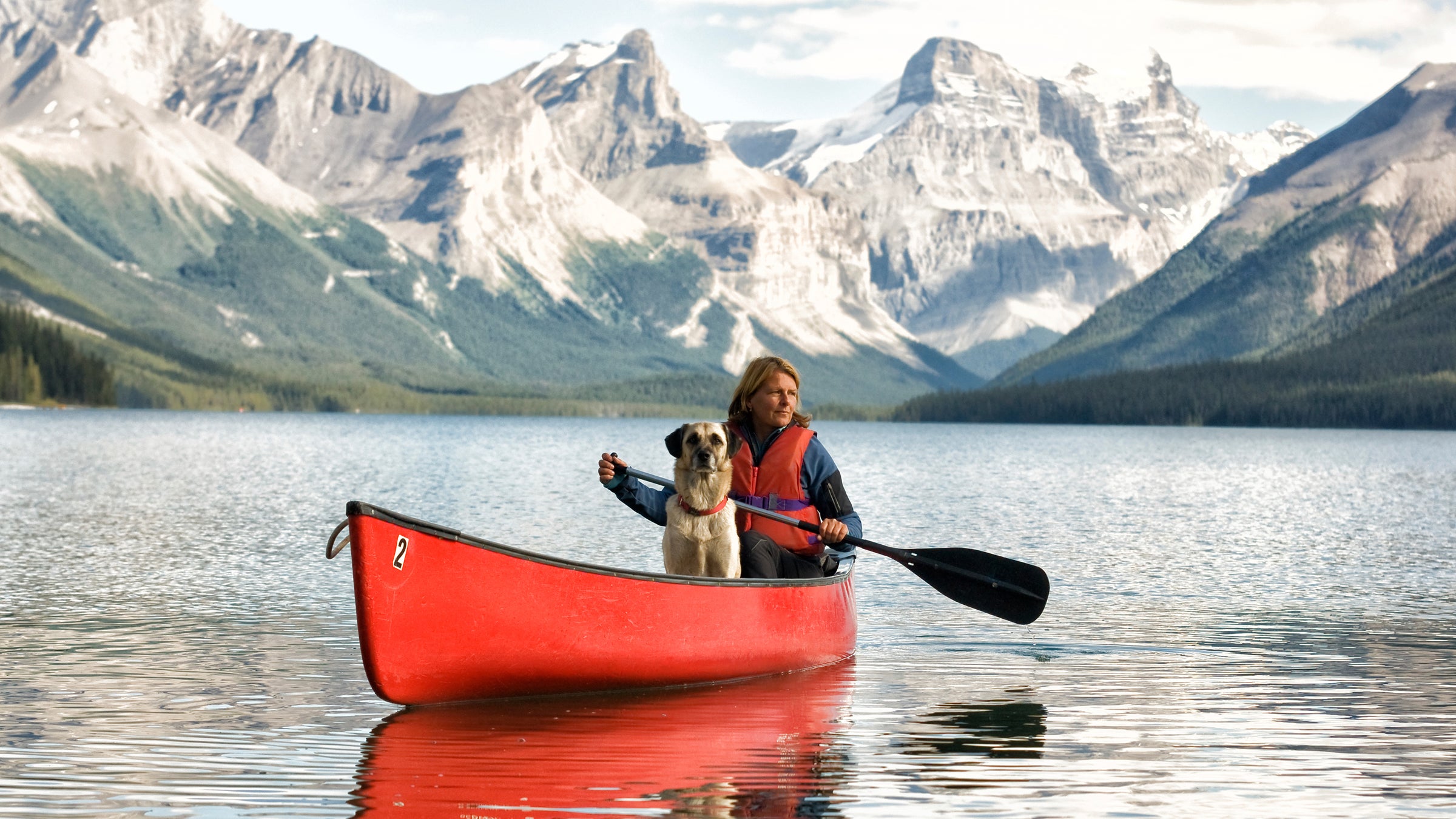 outside online stress test stress free