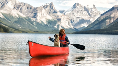 outside online stress test stress free