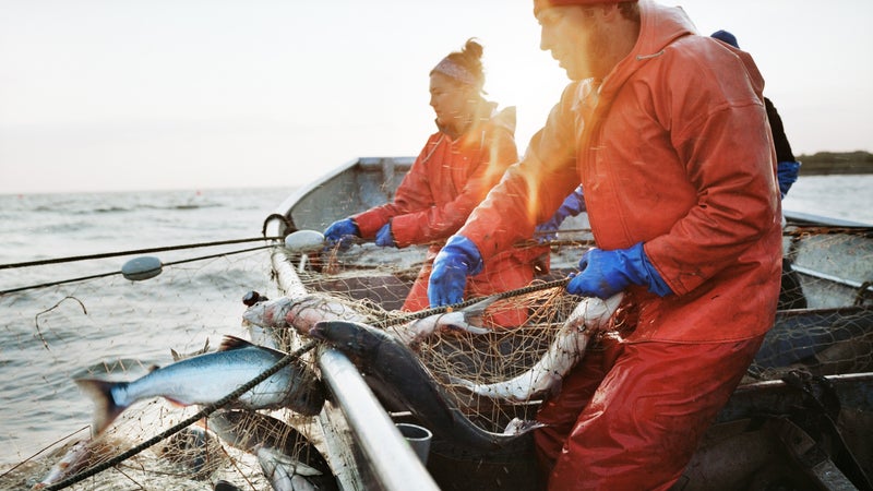 Alaska Bristol Bay Corey Arnold Coreyfishes Graveyard Point art beauty in nature commercial fishing fish work fish-work fisherman fisherwoman fishing gillnet illiamna net pebble mine photo photograph photographer photography photos portfolio seafood sustainable. work gear worker workers working