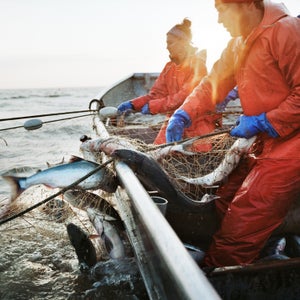 Alaska Bristol Bay Corey Arnold Coreyfishes Graveyard Point art beauty in nature commercial fishing fish work fish-work fisherman fisherwoman fishing gillnet illiamna net pebble mine photo photograph photographer photography photos portfolio seafood sustainable. work gear worker workers working