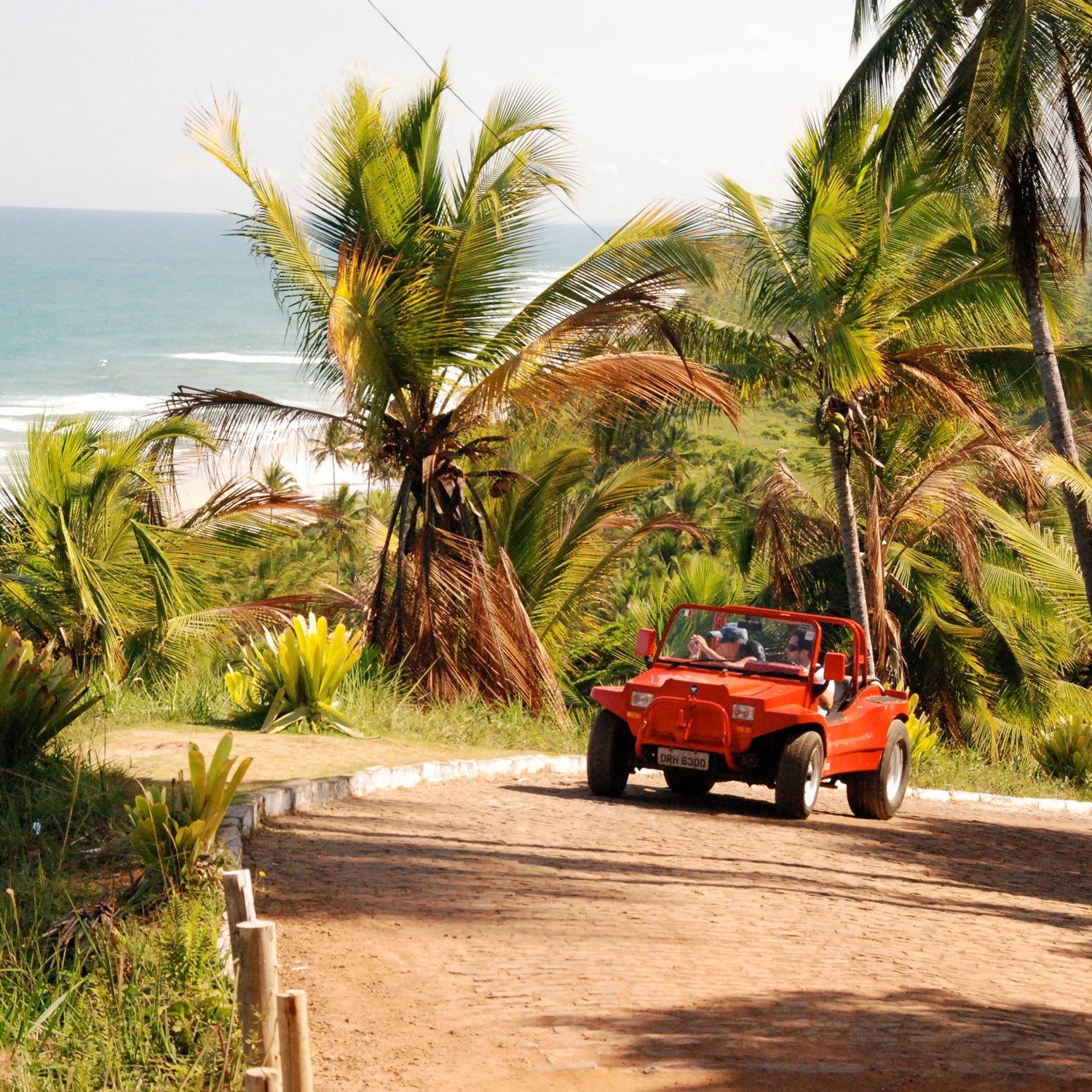 Brazil Japan Canada: New Zealand Finland road trip budget travel adventure couple romantic palm trees' beach dirt road waves ocean