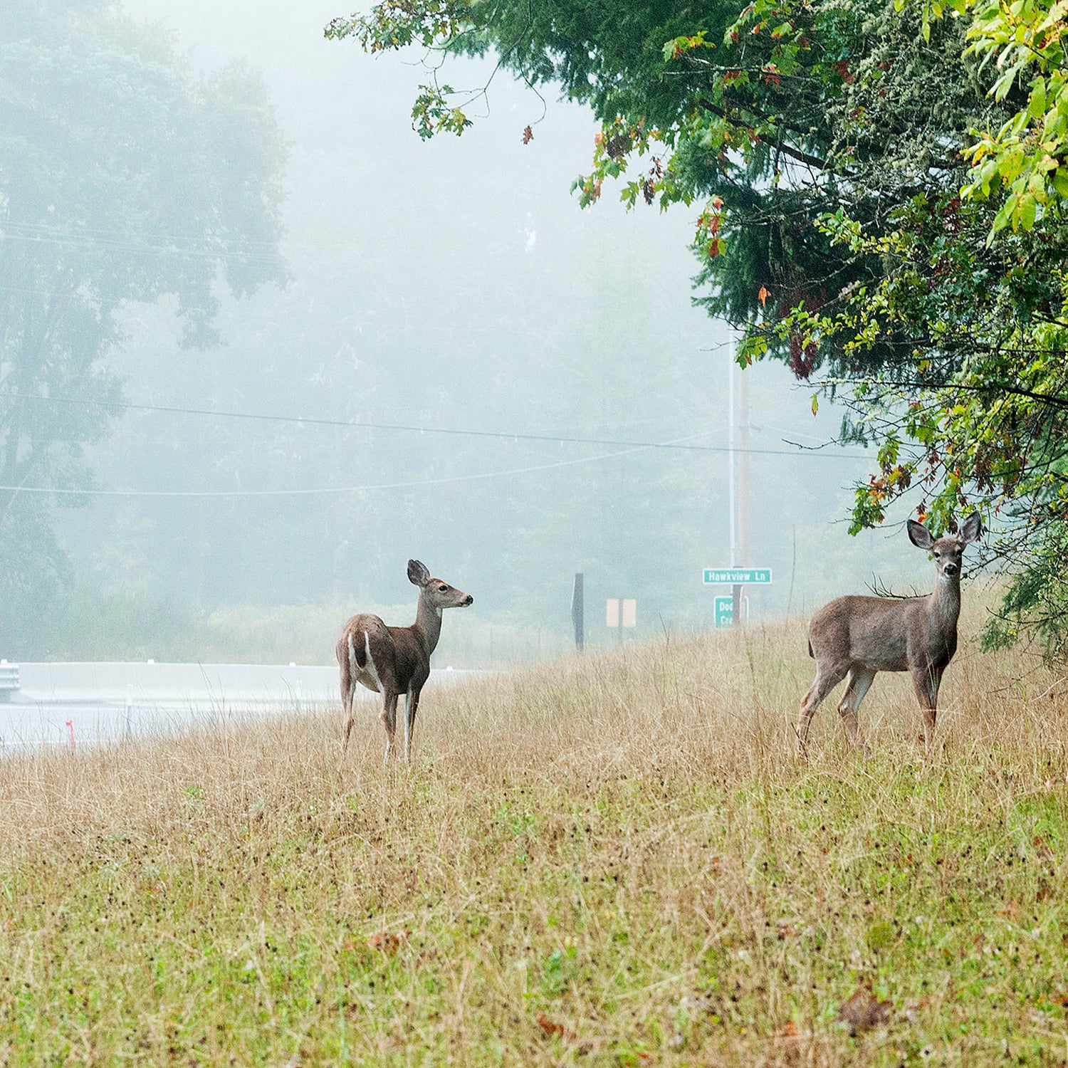 Americans Spent a Lot of Money on Hunting, Fishing, and Wildlife Watching  in 2011