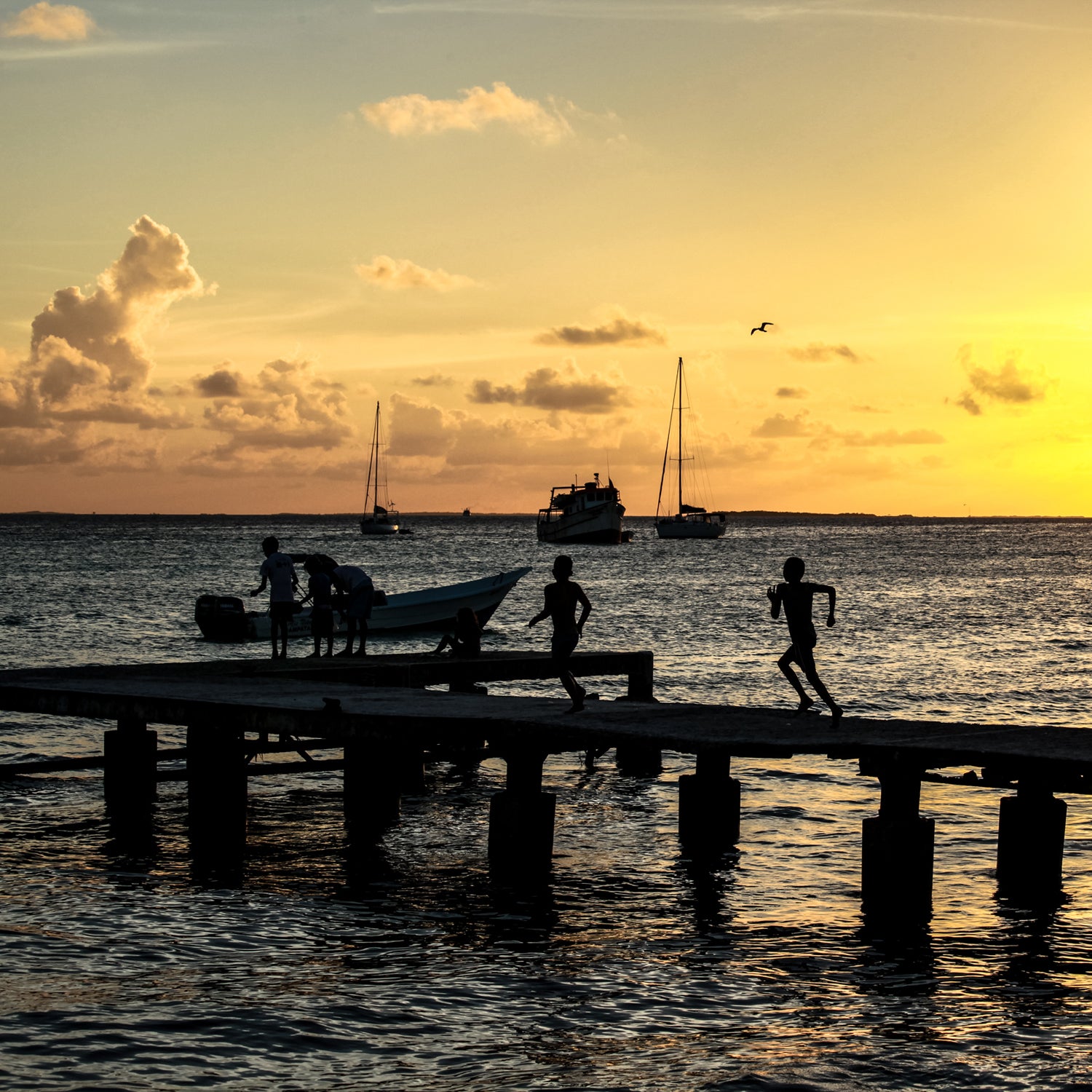 los roques fishing island travel caribbean