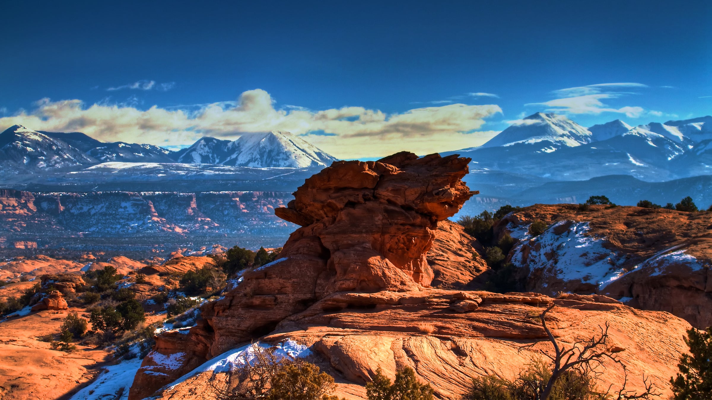 The BLM in Moab, a mountain biker's mecca, updated its website last week with guidelines that exclude “motor-assisted bicycles” from many popular trails.