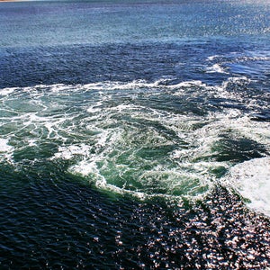 Once you enter the Bermuda Triangle, you may never come out.