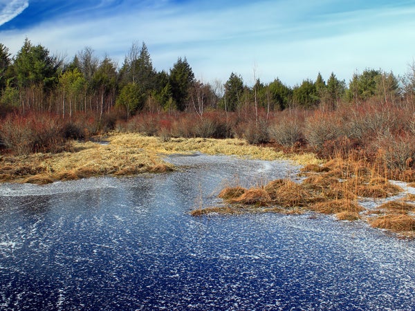 bill vaughn skating home backward outside outside magazine outside online outside classics montana frozen pond craftsman snowblower