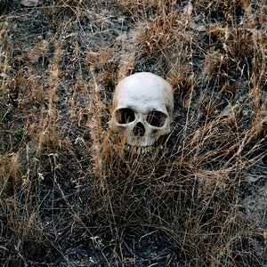Geronimo's skull is out there...somewhere.