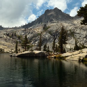 A desperate California ranger wanders off.