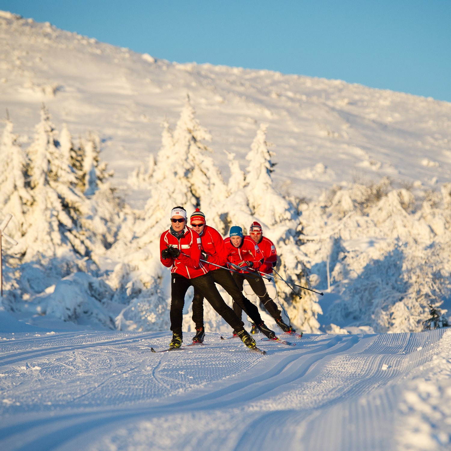 cross country skiing online