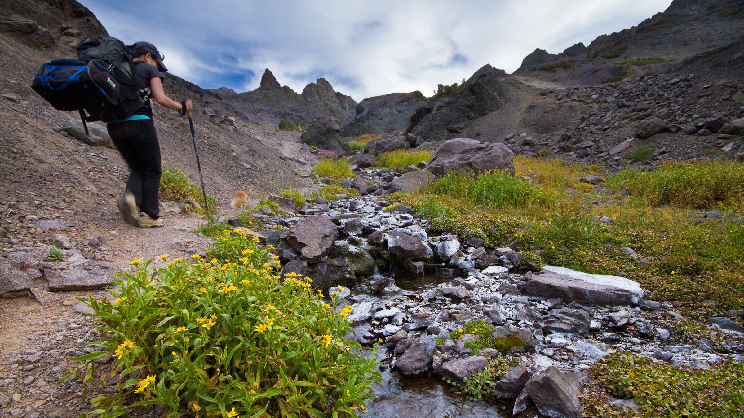 pacific crest trail sonora pass cafe hiking