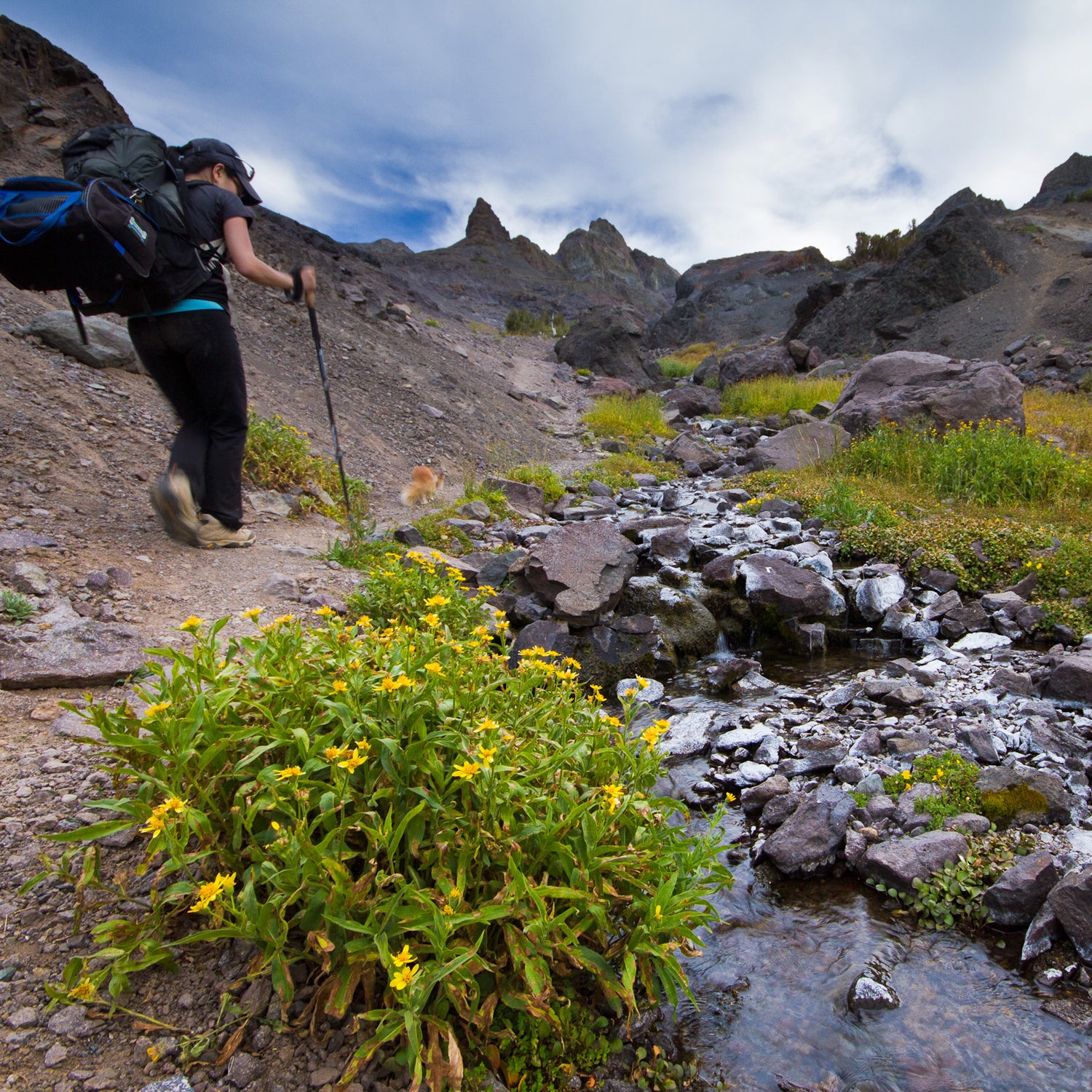 pacific crest trail sonora pass cafe hiking