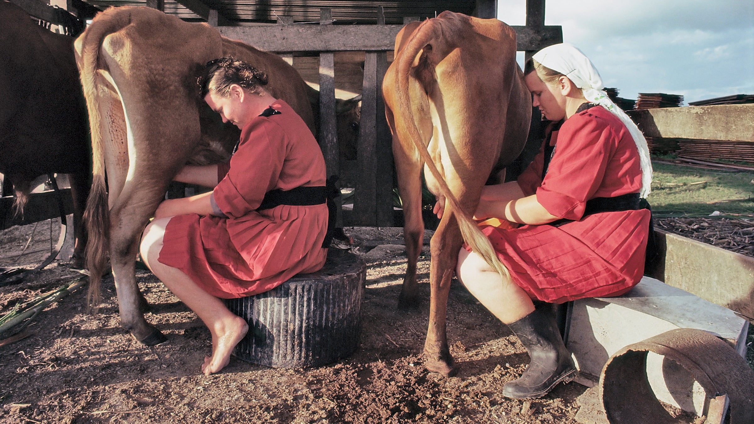 When considering subsistence farming, remember: a farm doesn't grow on its own.