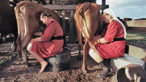 When considering subsistence farming, remember: a farm doesn't grow on its own.