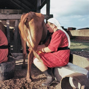 When considering subsistence farming, remember: a farm doesn't grow on its own.