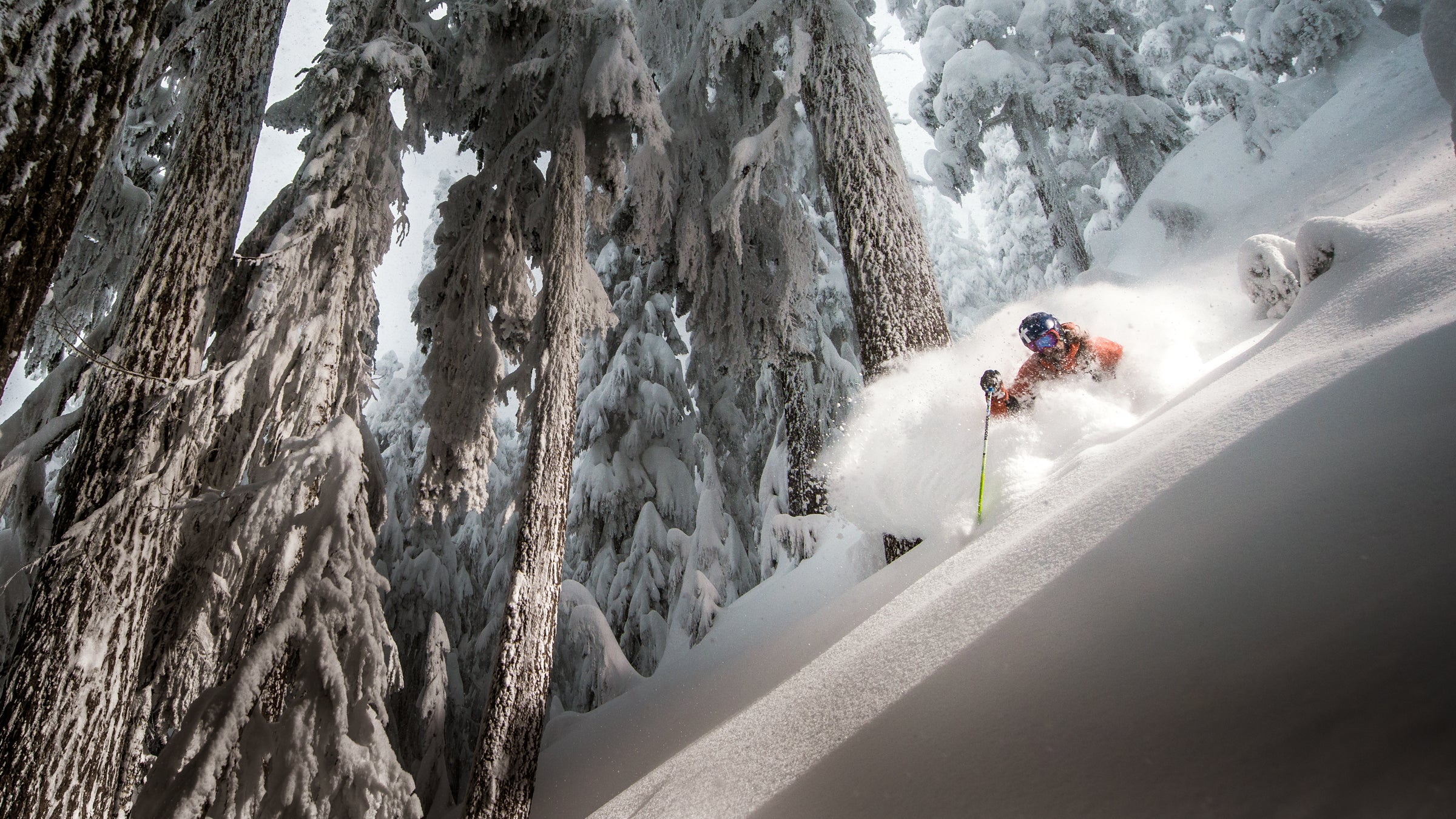 whistler blackcomb british columbia skiing