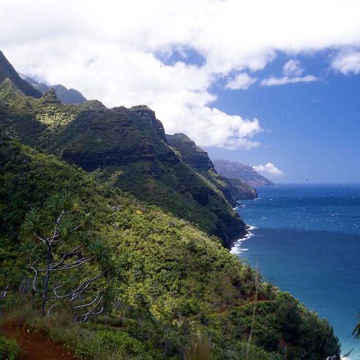 The Kalalau Trail along the Na Pali Coast is Hawaii at its best—isolated jungle, steep volcanic slopes, and a pristine undeveloped beach at the end. But the 22-mile round-trip hike through paradise can turn sour quickly. The path’s three major stream crossings can swell rapidly during a rain, and falling rock, especially around waterfalls, is always a concern. Crawler’s Ledge, three-quarters of the way through the trek, can turn into a dicey walk along its sheer ledge during the rain.
The trail has taken several lives and caused countless accidents, but the narrow path isn’t the biggest danger. More than 100 people have met their end while swimming on the trail’s remote beaches, and the transient community living on the shore can be rough. Two years ago, a drug addict threw a Japanese hiker off a cliff, setting off a four-month manhunt.