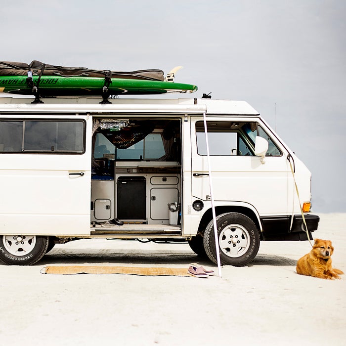 Old Army surf fishing truck - and lots of keepers