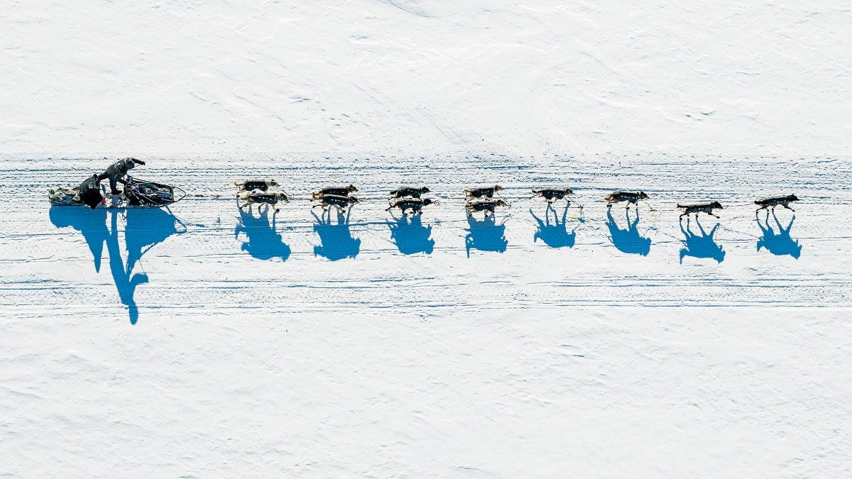 For This Man, the Iditarod Is a Father-Son Rivalry