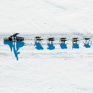 2014 iditarod aerial aerial photo aerial photography aerial photos aerials dallas seavey dog dog musher dog mushers dog mushing dog race dog sled race dog team dog teams dogs iditarod iditarod 2014 iditarod dog race iditarod dog sled race iditarod race iditarod trail iditarod trail sled dog race musher mushers mushing river shadow shadows sled dog sled dog race sled dogs yukon yukon river