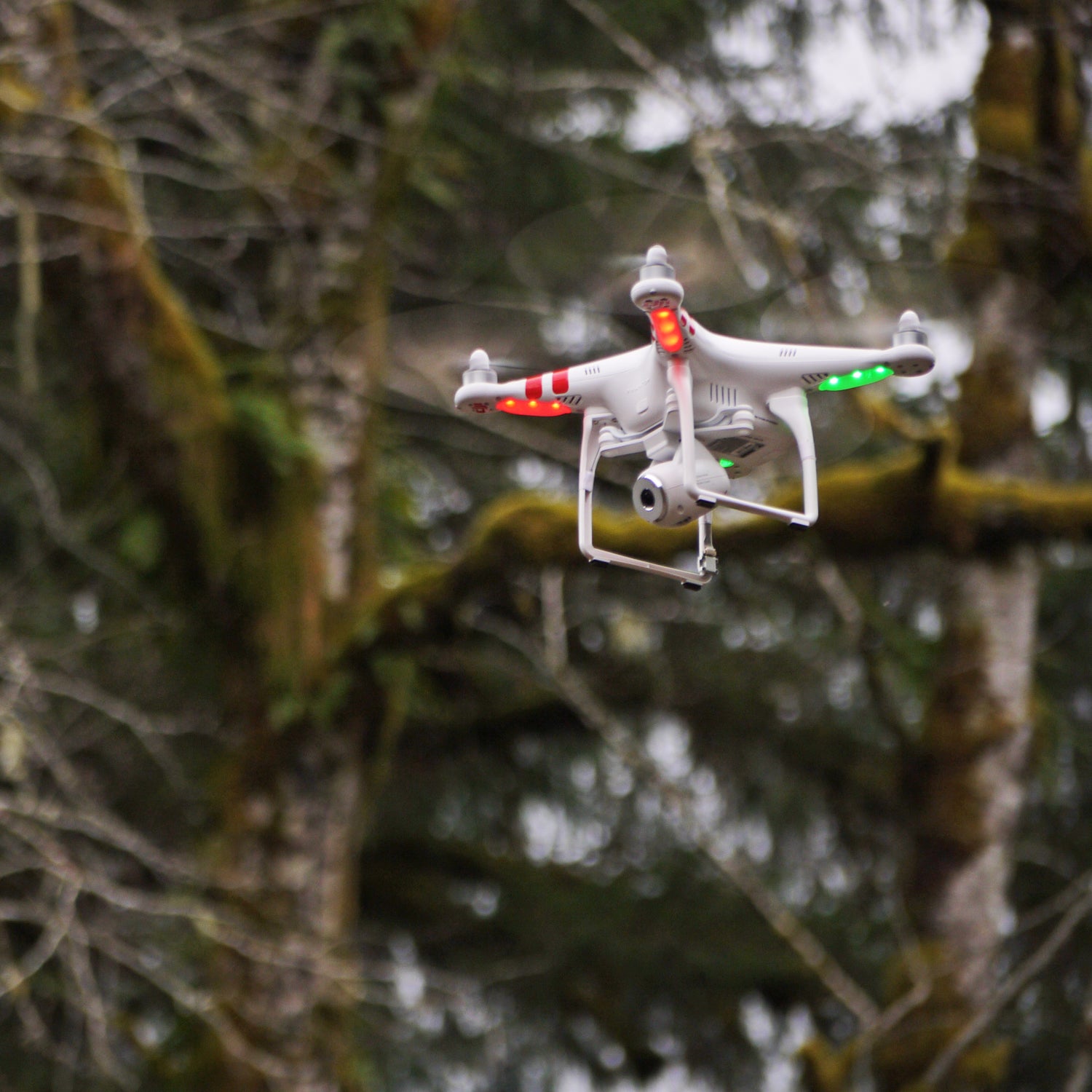 Washington drones flying DJI Dickey River drone Phantom Olympic Peninsula uav