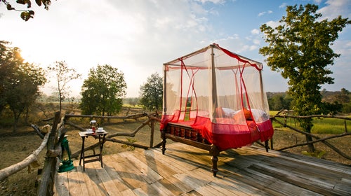 At Jamtara Wilderness Camp in Pench, India, you can sleep in a bed surrounded by arjuna trees (binoculars included).