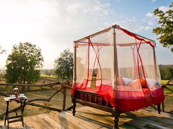 If you love sleeping under the sky, you should try it in the coziest way possible—within the snug confines of a plush outdoor bed. Read more.