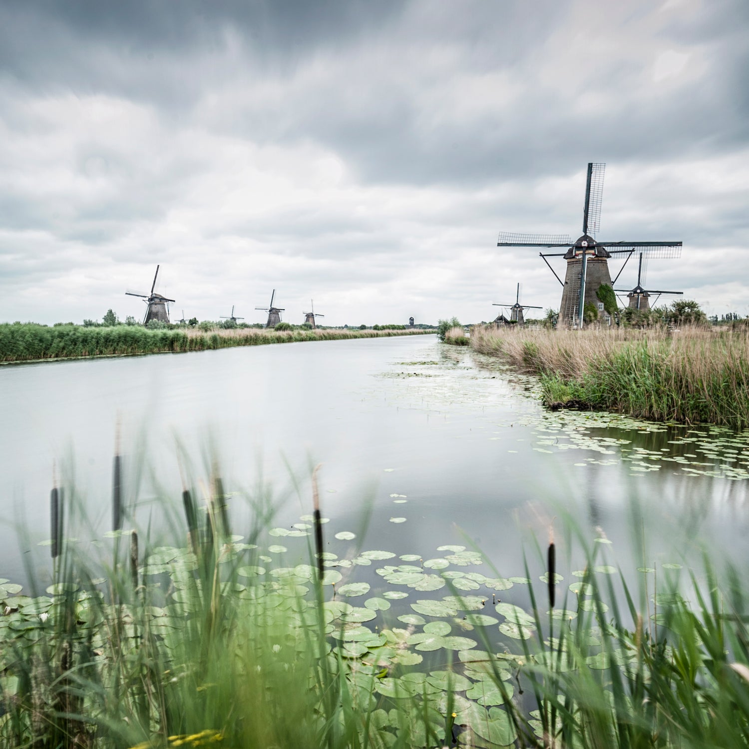dutch netherlands florence williams polder holland green energy green revolution sustainability zandmotor rising seas sea level carbon dioxide kyoto protocol outdoors outside classics outside magazine outside online