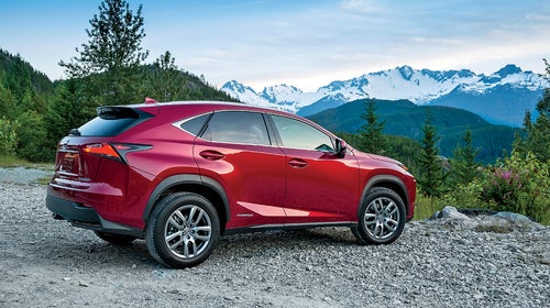 2015 Lexus NX Long Lead Whistle