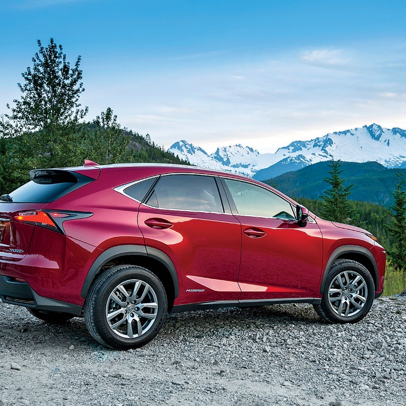 2015 Lexus NX Long Lead Whistle