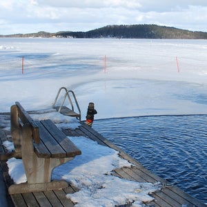 science of survival outside magazine