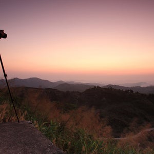 Four great cameras for hitting the road.