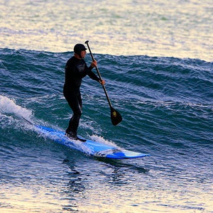 Paddle Surfer