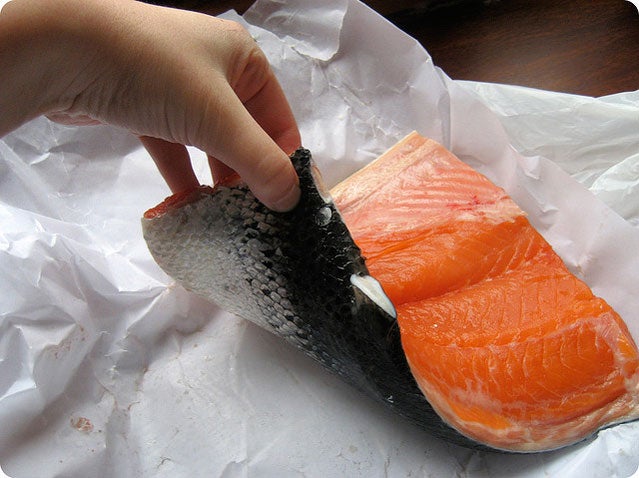 Salmon