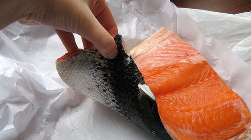 Salmon
