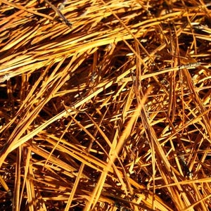 These could save your life.