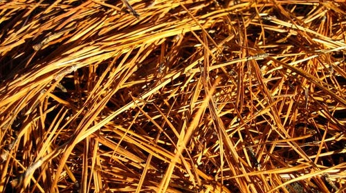 These could save your life.