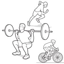 Vertical exercises online