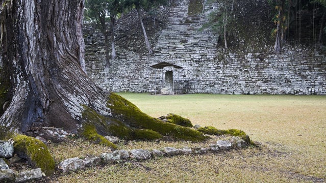 honduras ruins rainforest copan ruins ancient archaeology central america travel vacation